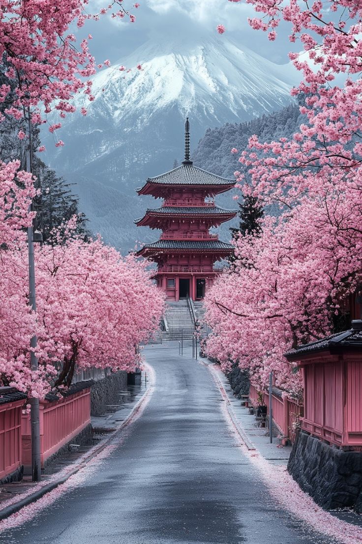 Cherry Blossoms in Tokyo