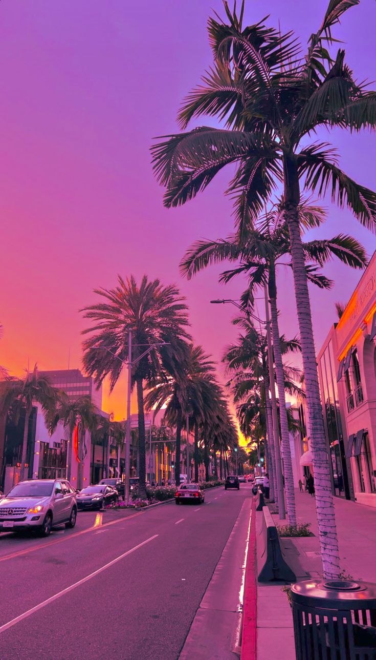 Los Angeles Sunset